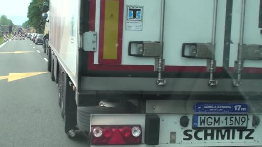 SCHMITZ CARGOBULL CARGOBULL (WGM15N9)