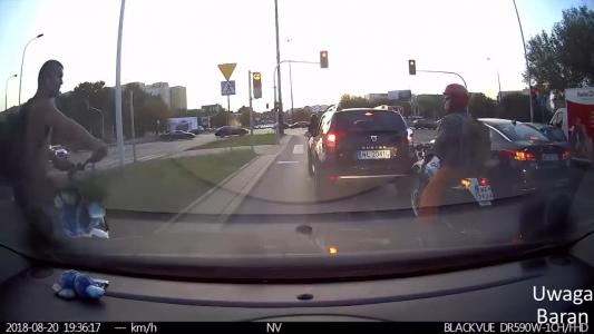 DACIA DUSTER (WL2041G)