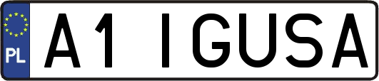 A1IGUSA