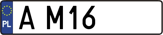 AM16