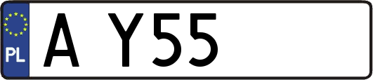 AY55