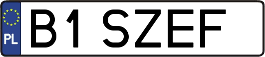 B1SZEF