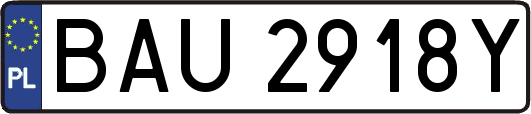 BAU2918Y