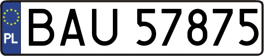 BAU57875