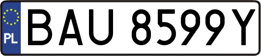 BAU8599Y