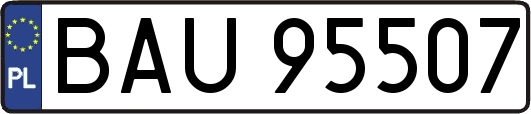 BAU95507