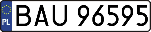 BAU96595