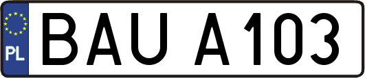 BAUA103