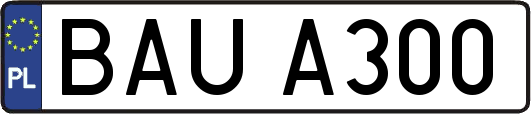BAUA300