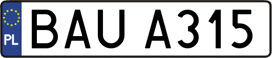 BAUA315