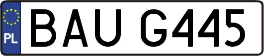 BAUG445