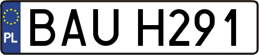 BAUH291