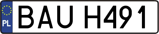 BAUH491