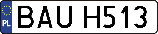 BAUH513