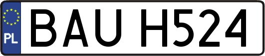 BAUH524
