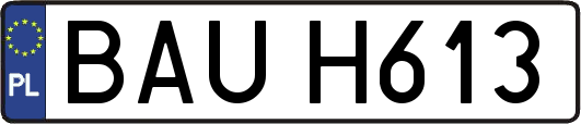BAUH613