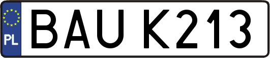 BAUK213