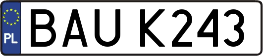 BAUK243