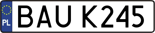 BAUK245