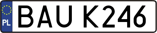 BAUK246