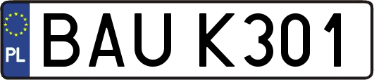 BAUK301