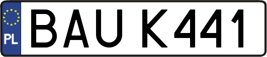 BAUK441