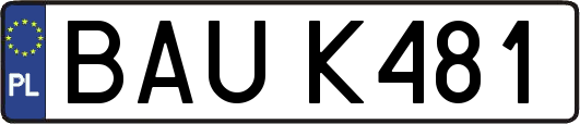 BAUK481