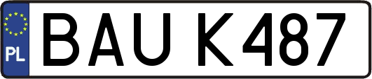 BAUK487