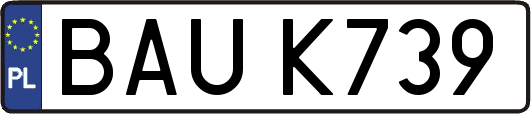 BAUK739