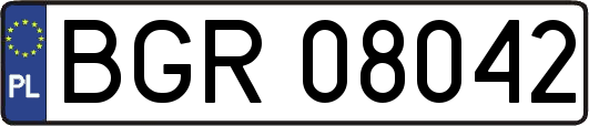 BGR08042