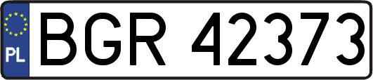 BGR42373