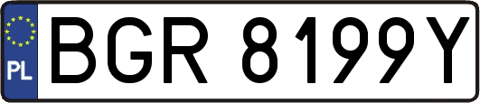 BGR8199Y