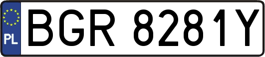 BGR8281Y