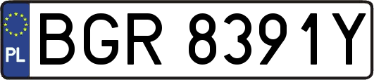 BGR8391Y