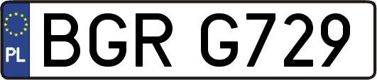 BGRG729