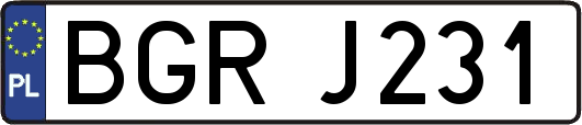 BGRJ231