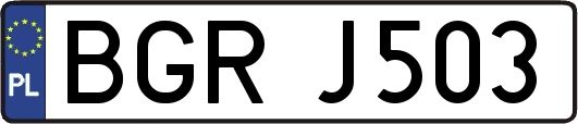 BGRJ503