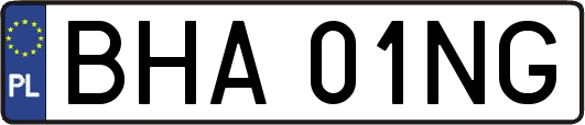 BHA01NG