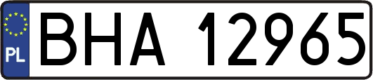 BHA12965