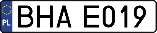 BHAE019
