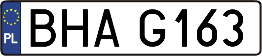 BHAG163