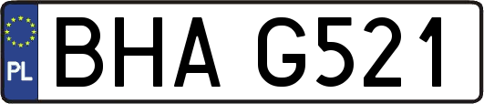 BHAG521