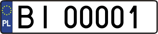 BI00001