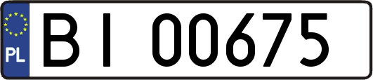 BI00675