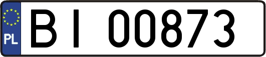BI00873