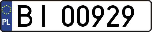 BI00929