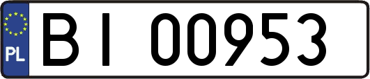 BI00953