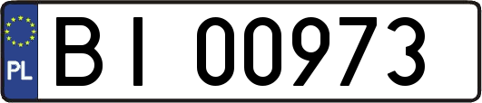 BI00973