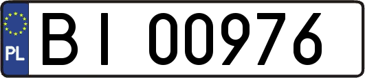 BI00976