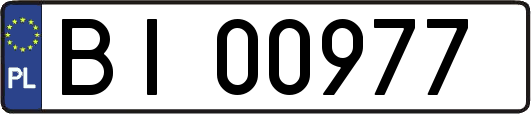 BI00977
